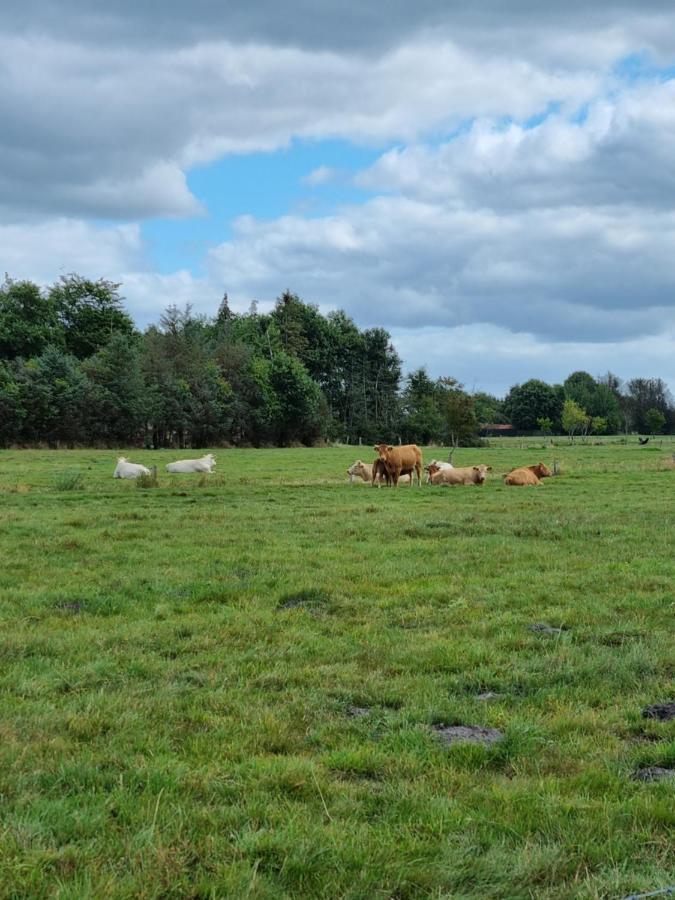 Haus Moor Merland Moormerland エクステリア 写真